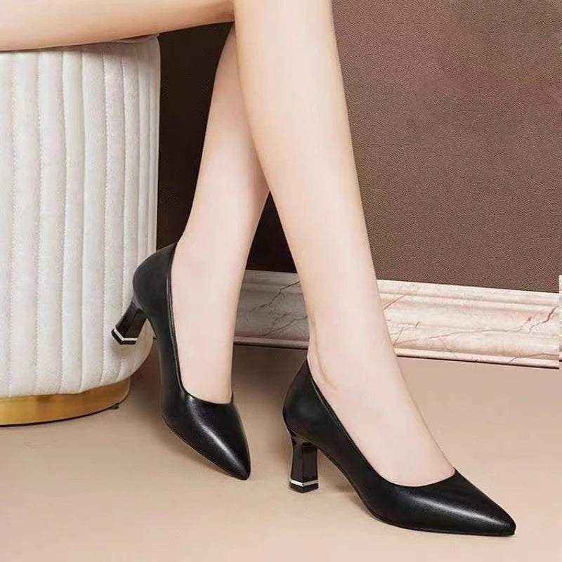 2026 New Women's Pointed-Toe Pumps - Shipping free worldwide
